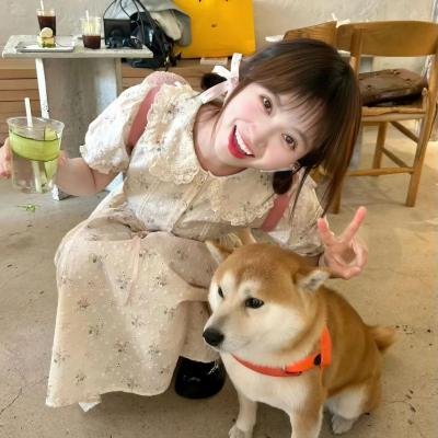 修女有枪 封面